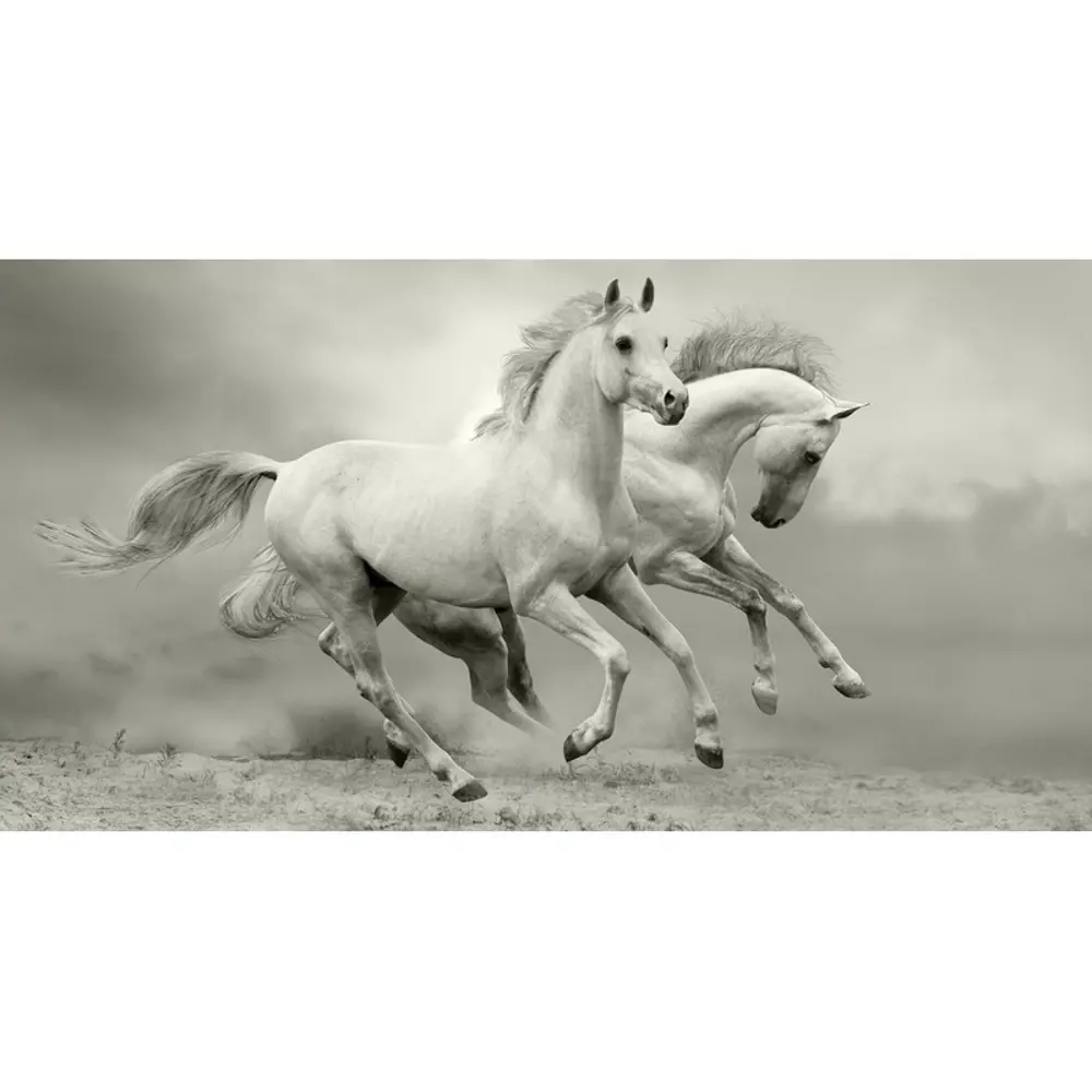 Фотопанно флизелиновое «Кони» 130х250 см Santreyd STLM-2127314