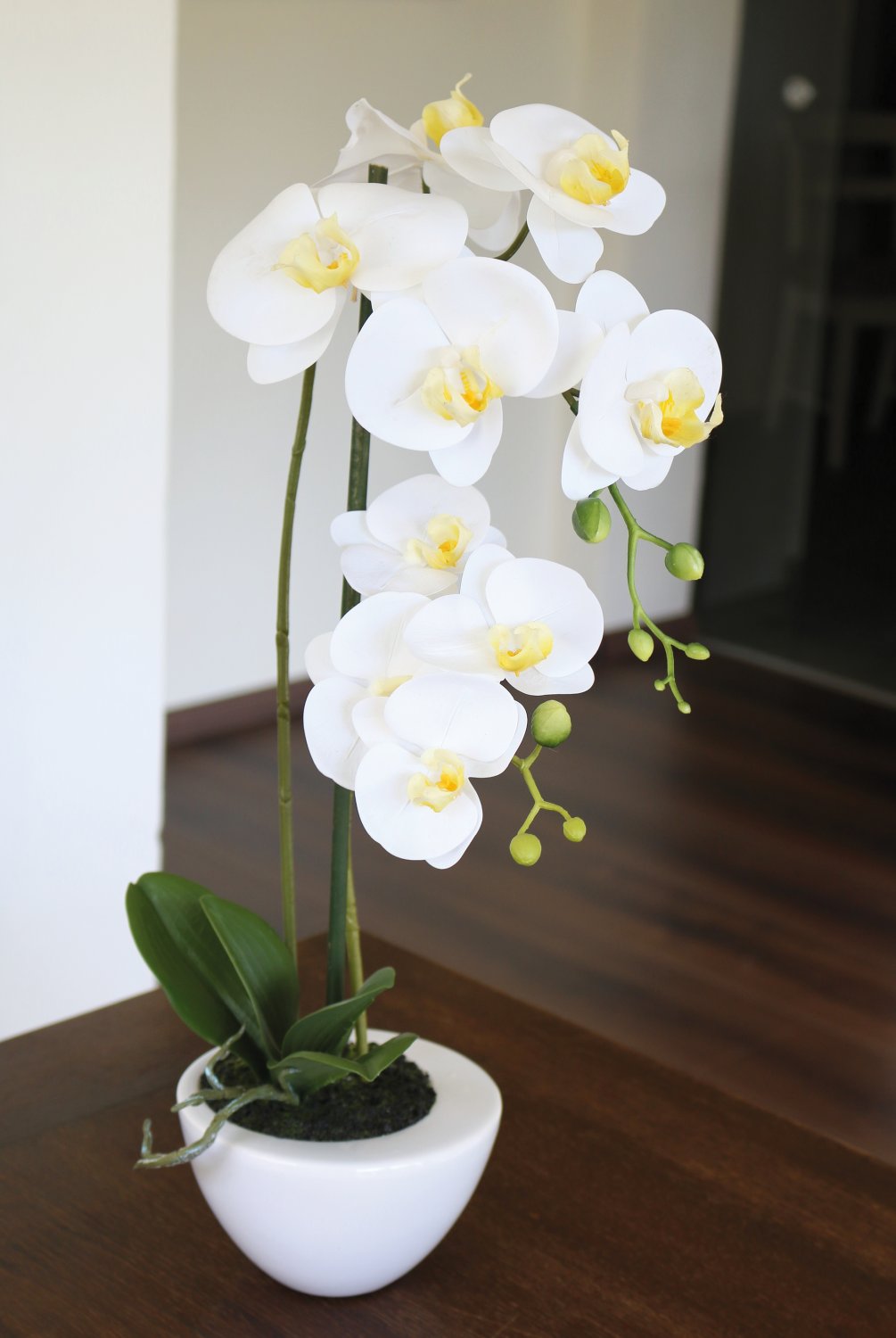 2606 778 a3 Искусственная орхидея Phalaenopsis, 55см, в горшке, real touch soft, кремово-белая H-andreas  - Вид №1