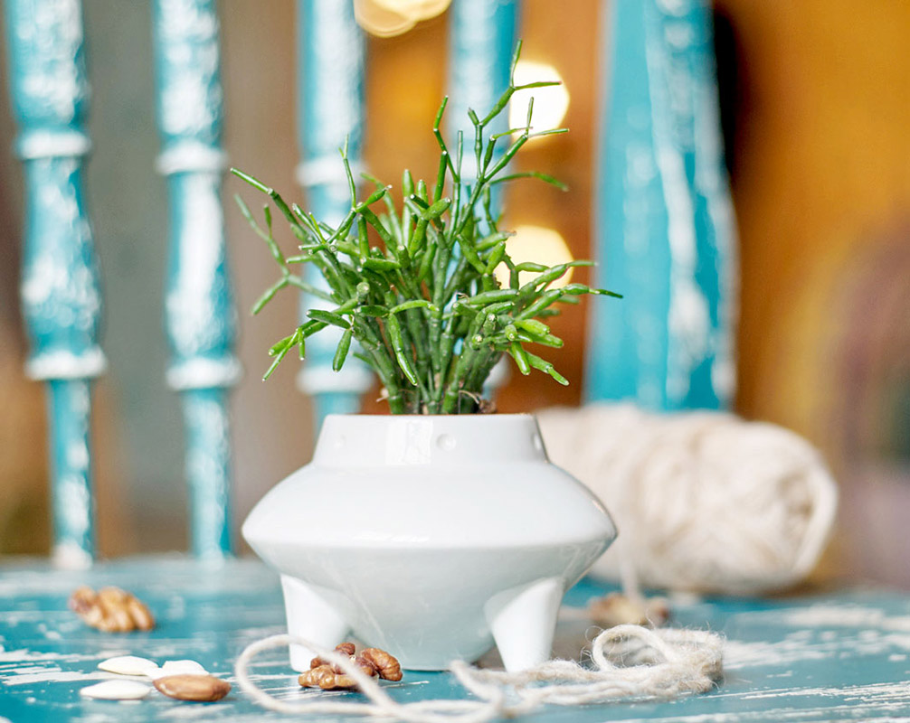 Набор для выращивания Eco НЛО ЭКОЧЕЛОВЕКИ 7003 - Вид №1