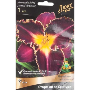 Лилейник Гиб Сторм Ов Зе Сенчури 85205694 STLM-2170640
