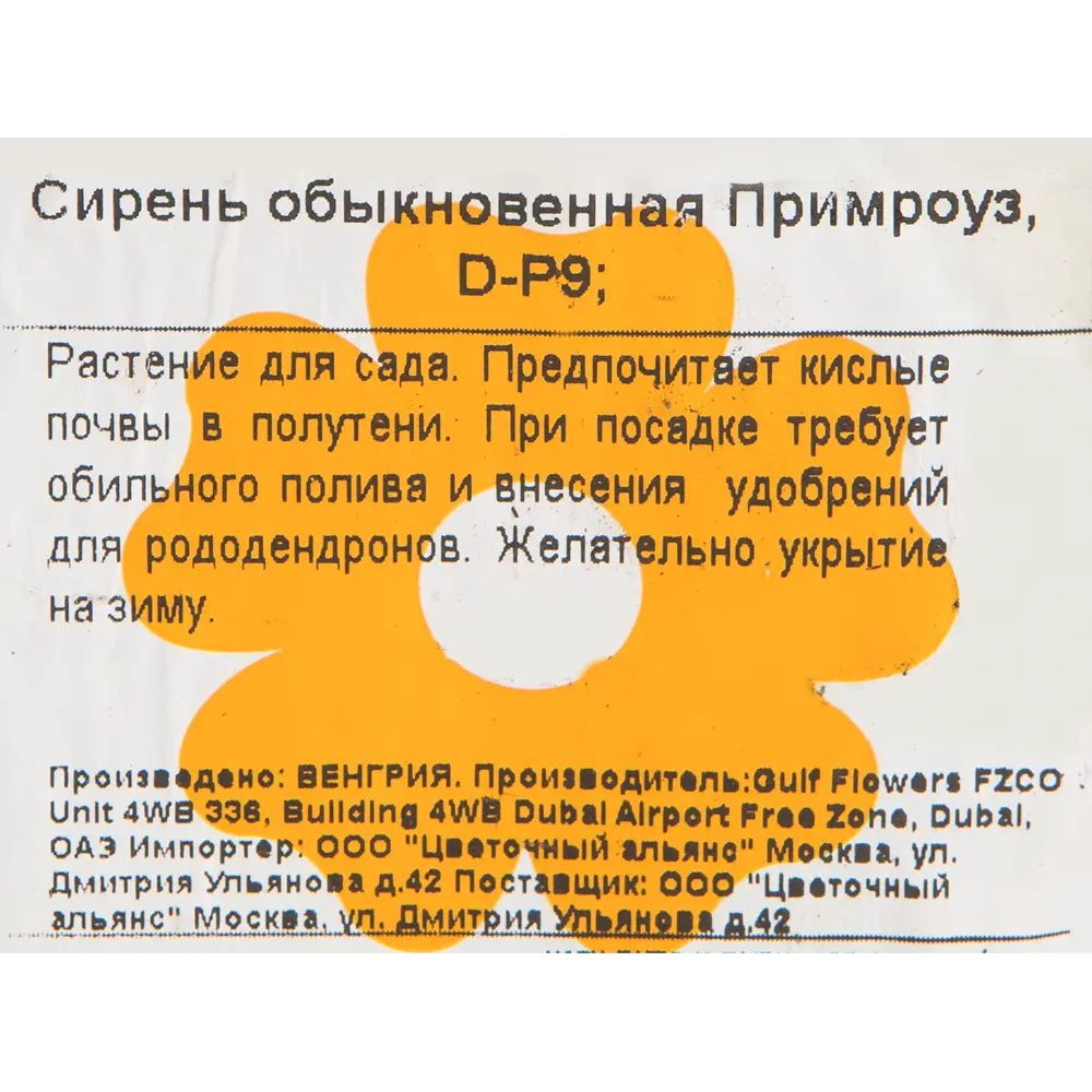 Сирень обыкновенная «Примроуз» 9x20 см 82601864 STLM-2198879 Santreyd  - Вид №1
