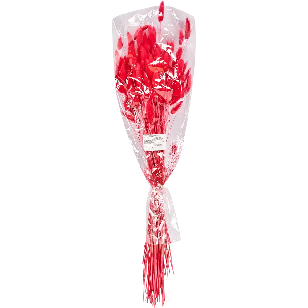 Букет из сухих цветов Лагурус микс 1 70 см Santreyd STLM-2132636 - Вид №6