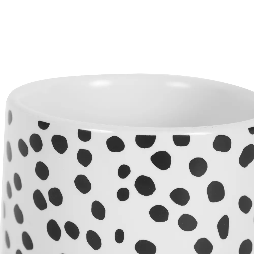 Стакан для зубных щёток «Spots», керамика SWENSA STLM-2038432 - Вид №1