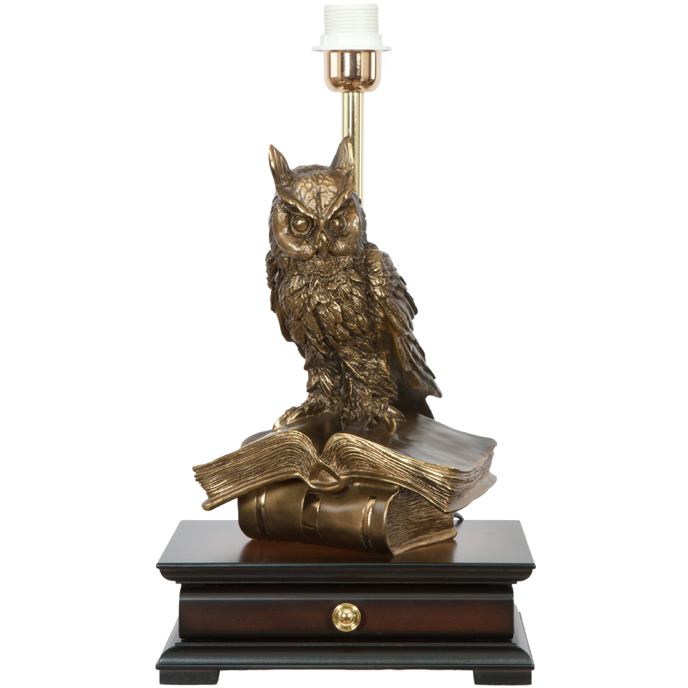 33006/1,34074 Настольная лампа с бюро Ученый Филин Классика Капучино BOGACHO 4627138211540, 4627155810764 - Вид №3