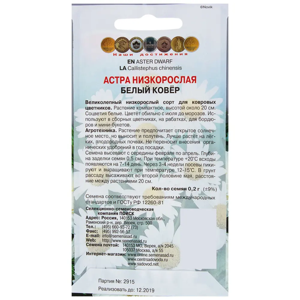 Астра низкорослая Белый ковер 17229451 STLM-2017175 ПОИСК  - Вид №1