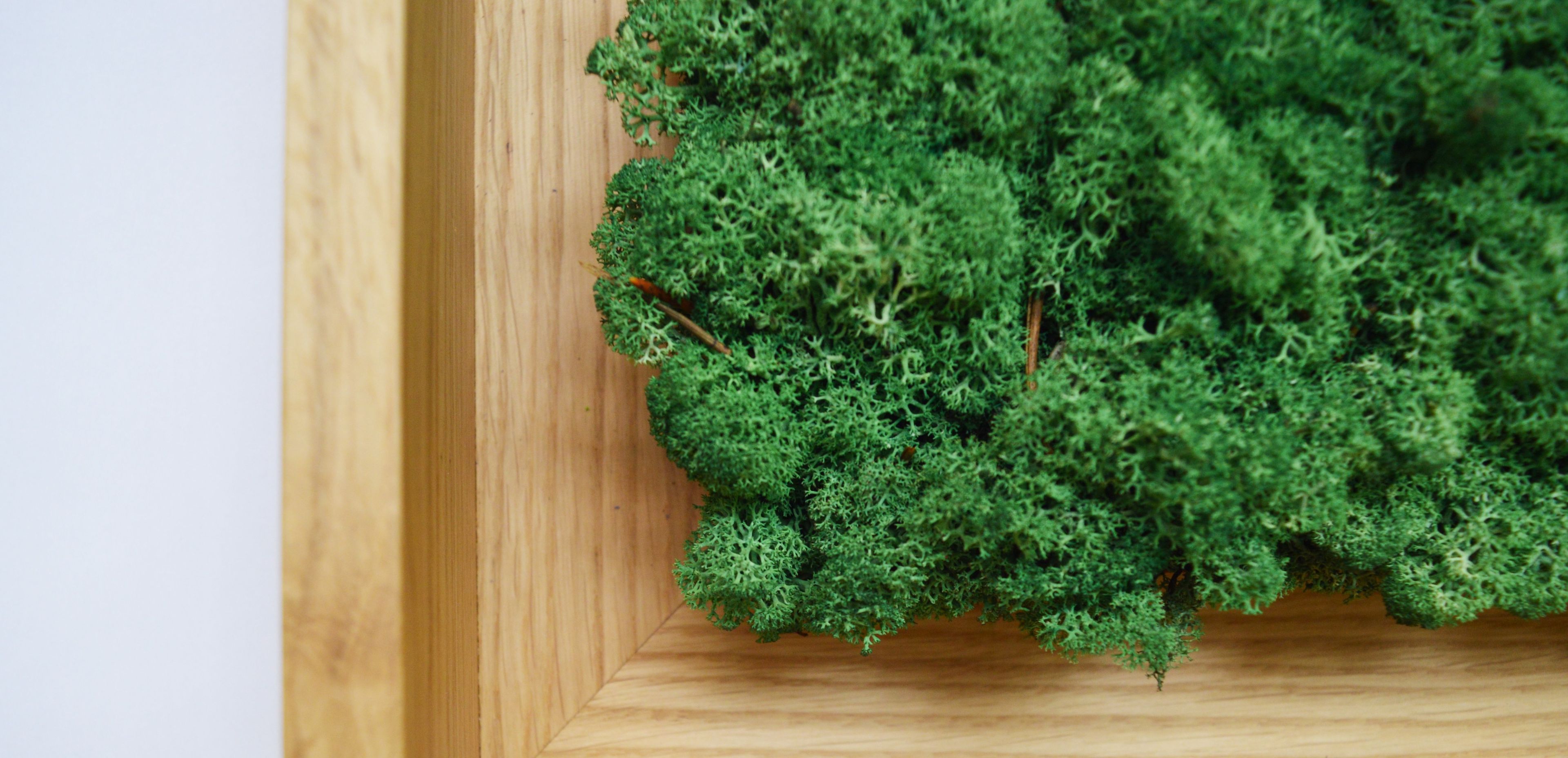 Акустическая панель из мха GREENMOOD FRAMED SYNERGY ARCH-00061647 - Вид №14