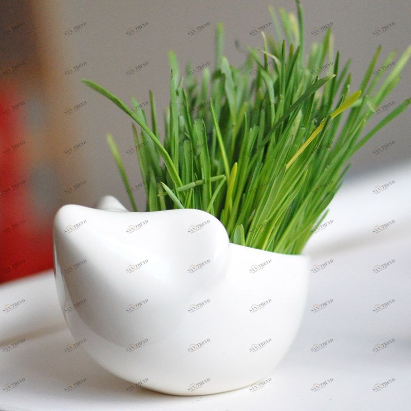 Набор для выращивания Eco Ёжик ЭКОЧЕЛОВЕКИ 3001