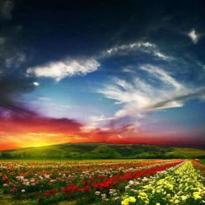 WP02104 Фотообои Verol Фотообои decoline 1х1 м