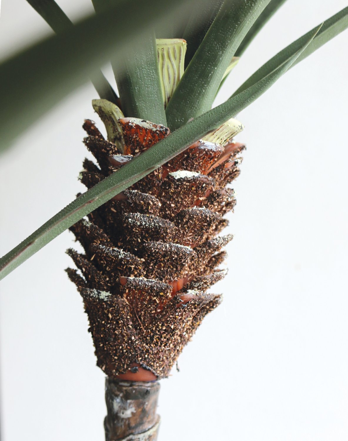 5936 883 a3 Искусственная пальма, 2 ствола, в горшке, 115 см, зеленая H-andreas  - Вид №3