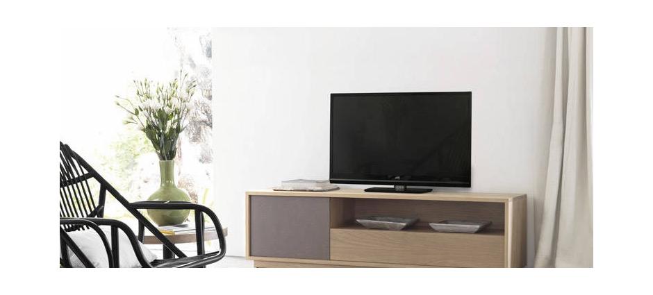 008738 Тумба под ТВ с 1 дверцей Expormim Basic - Вид №2