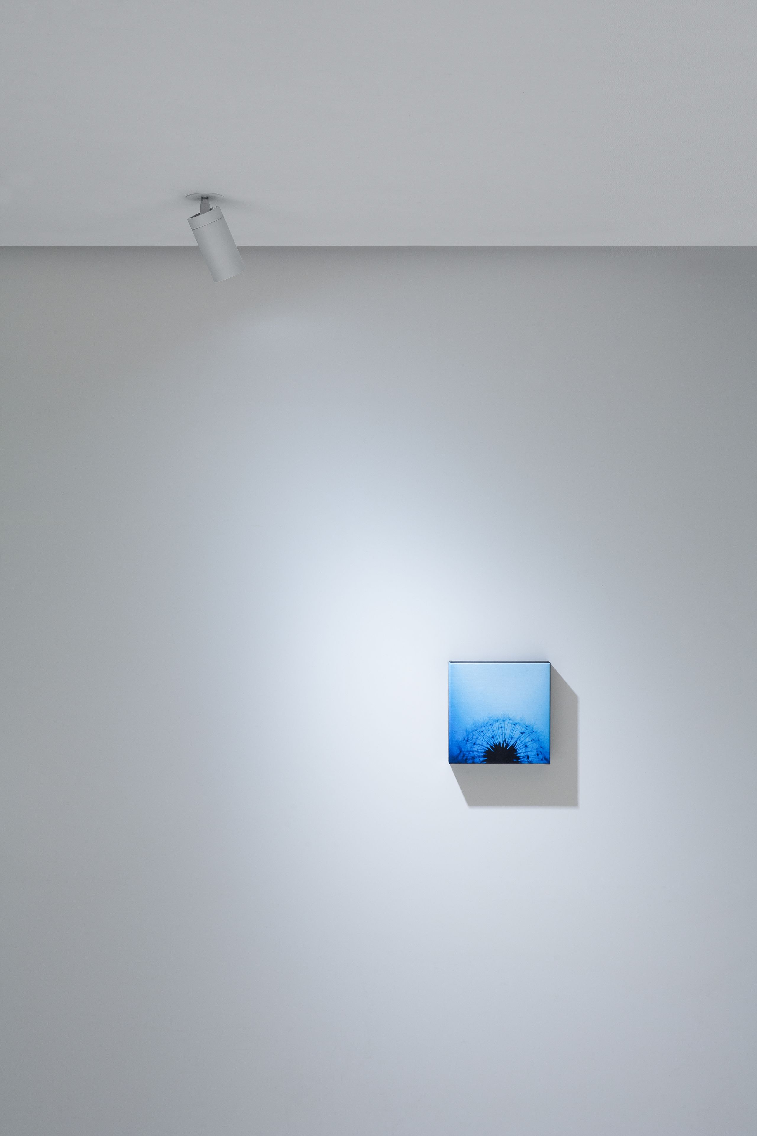 Регулируемый светодиодный прожектор DAVIDE GROPPI DOT R ARCH-00148124 - Вид №1