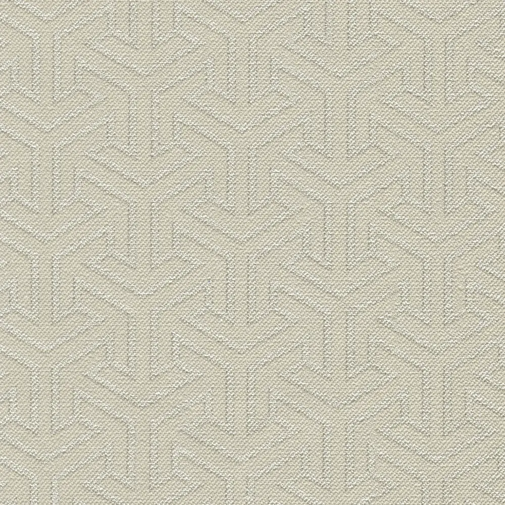 Обои флизелиновые Rasch 3D Selection бежевые 0.53 м 531923 STLM-2032560 - Вид №1