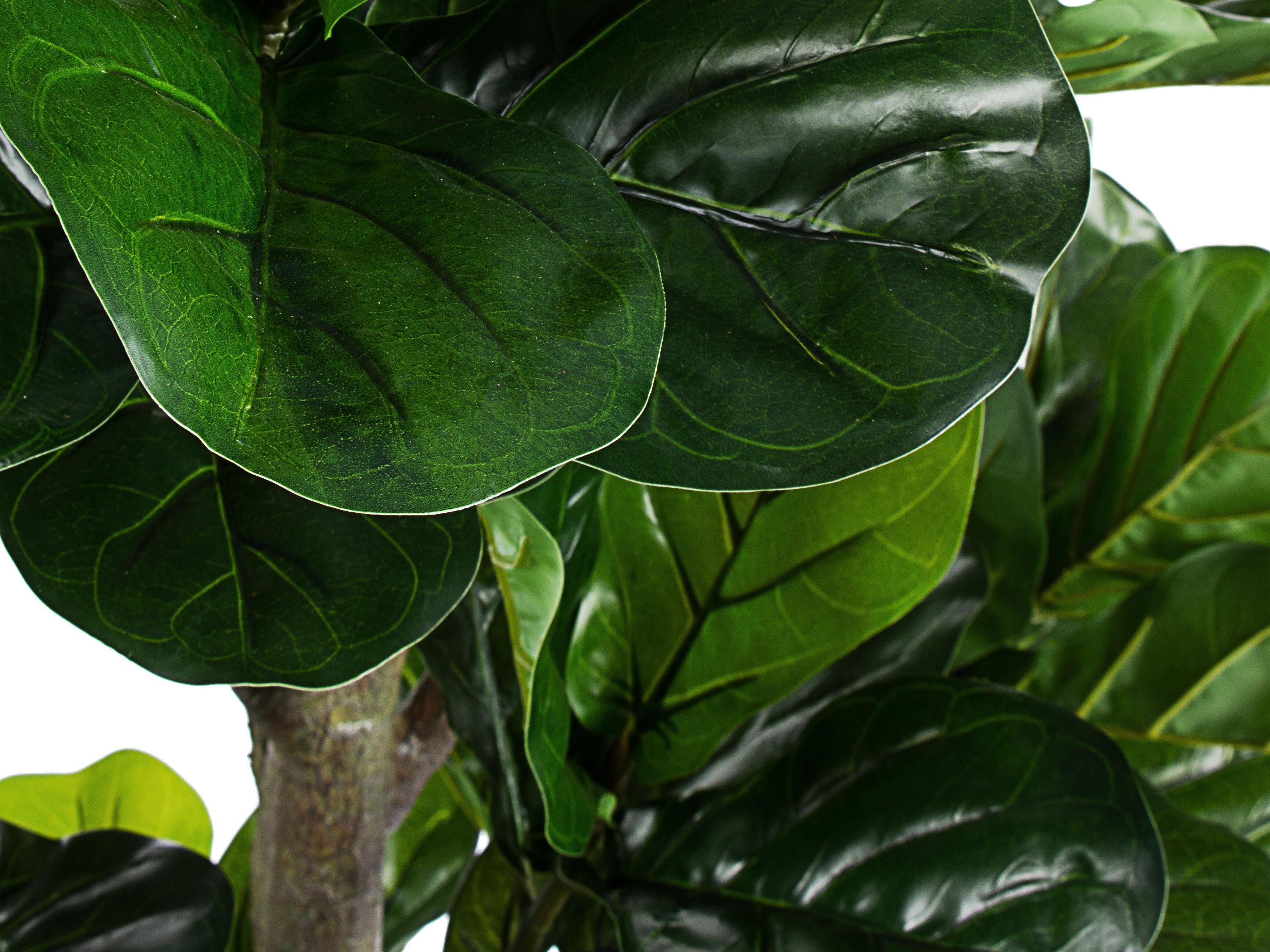 Искусственное растение BIZZOTTO FICUS LYRATA H190 ARCH-00112170 - Вид №1