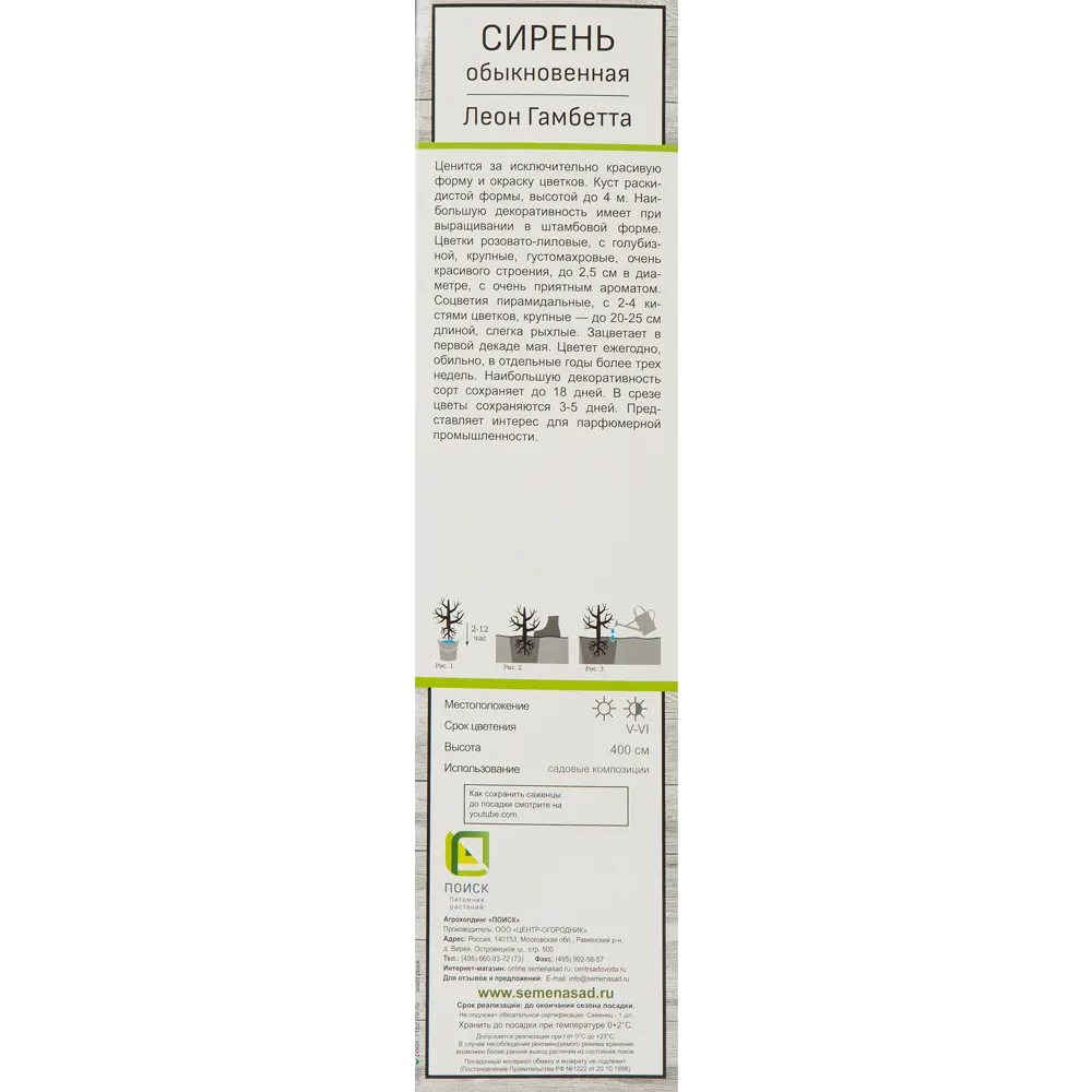 Сирень обыкновенная Леон Гамбетта 82527871 STLM-2039013 Santreyd  - Вид №1