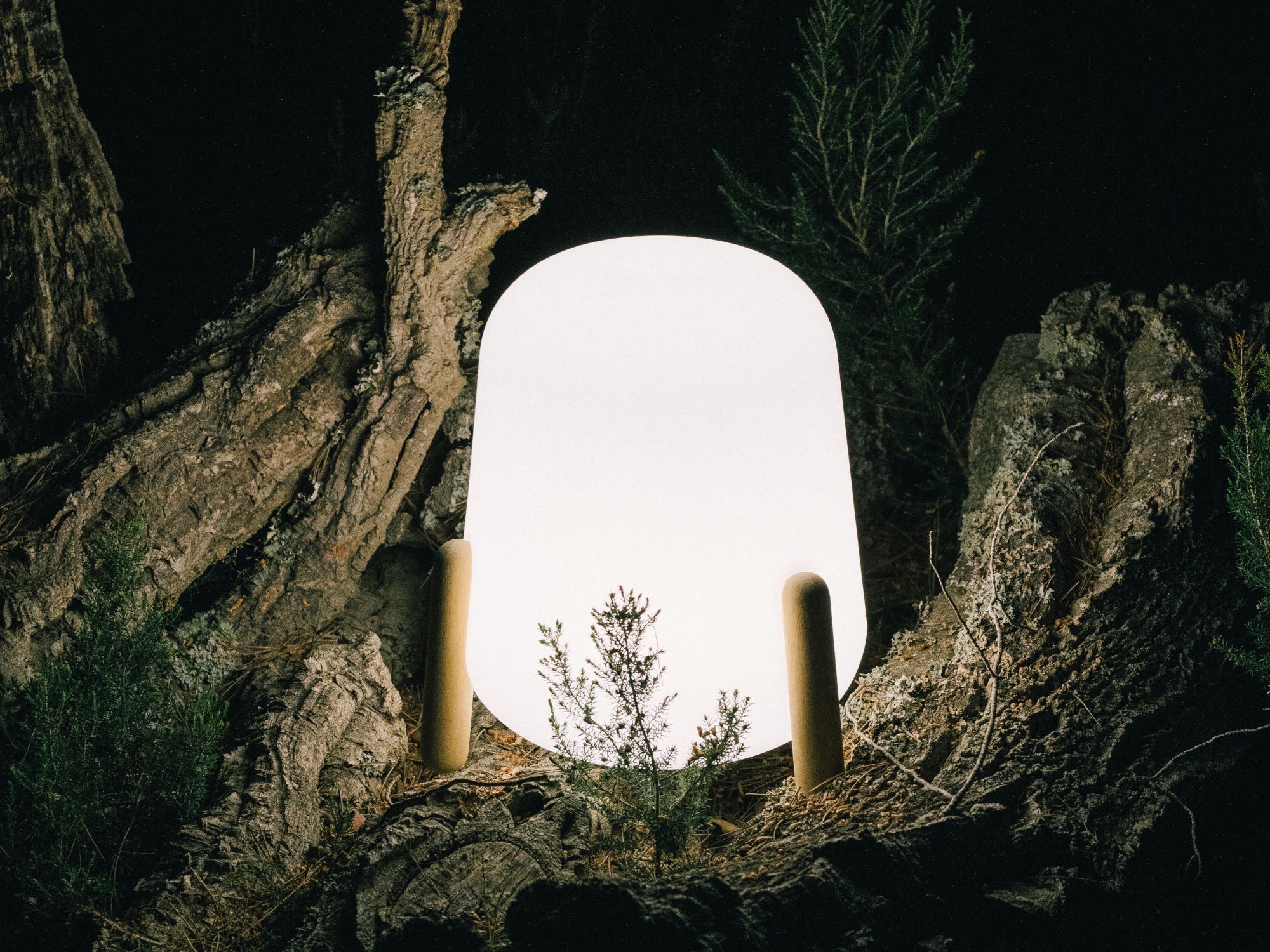 Наружная настольная лампа из дерева и полиэтилена calma Xica &amp ARCH-00065732 - Вид №1