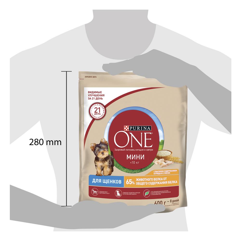 ПР0059700 Корм для щенков для мелких пород, курица, рис сух. 600г ONE  - Вид №6