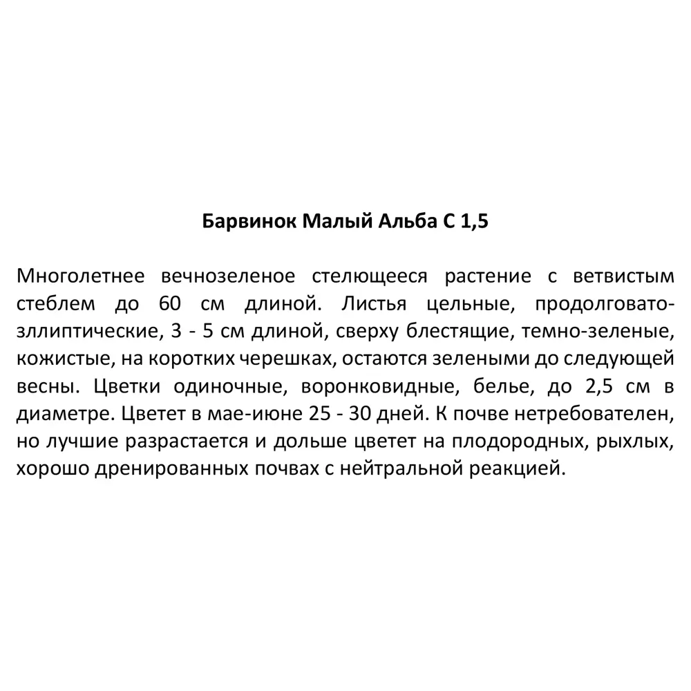 Барвинок малый Альба ø11.5 h15 см 85324928 STLM-2126459 Santreyd  - Вид №2