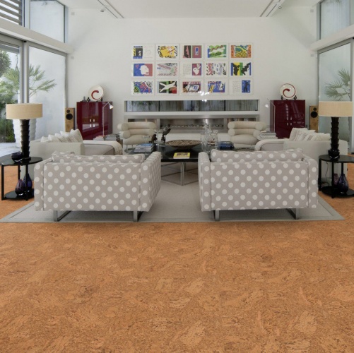 Пробка Wicanders Eco Cork Accent (Гладкая) 600х300 мм DN17002 - Вид №12