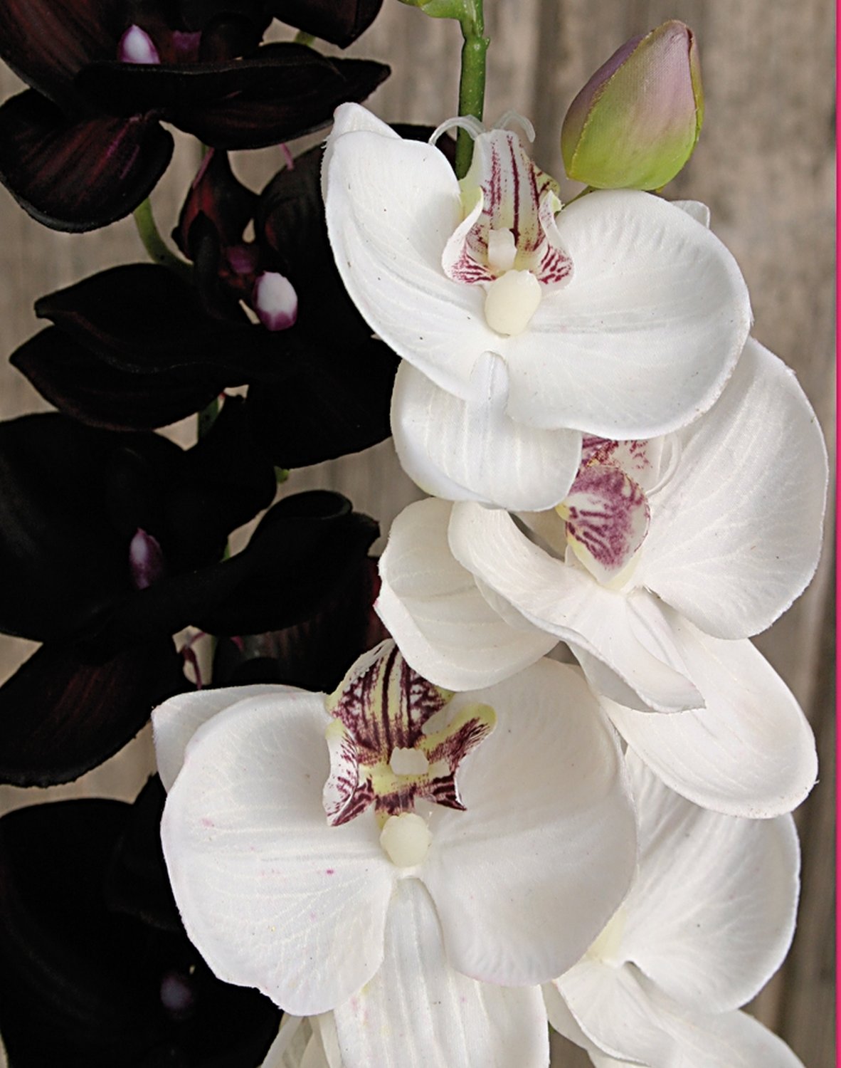 2398 778 a2 Искусственная орхидея Phalaenopsis, 92 см, real touch, бежево-белая H-andreas  - Вид №1