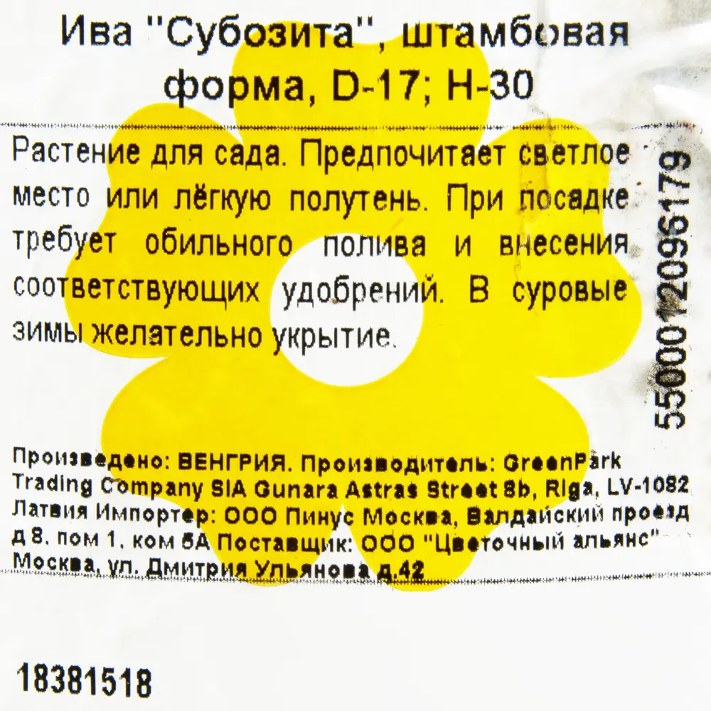 Ива «Субозита», 17x30 см 18381518 STLM-2168899 Santreyd  - Вид №1