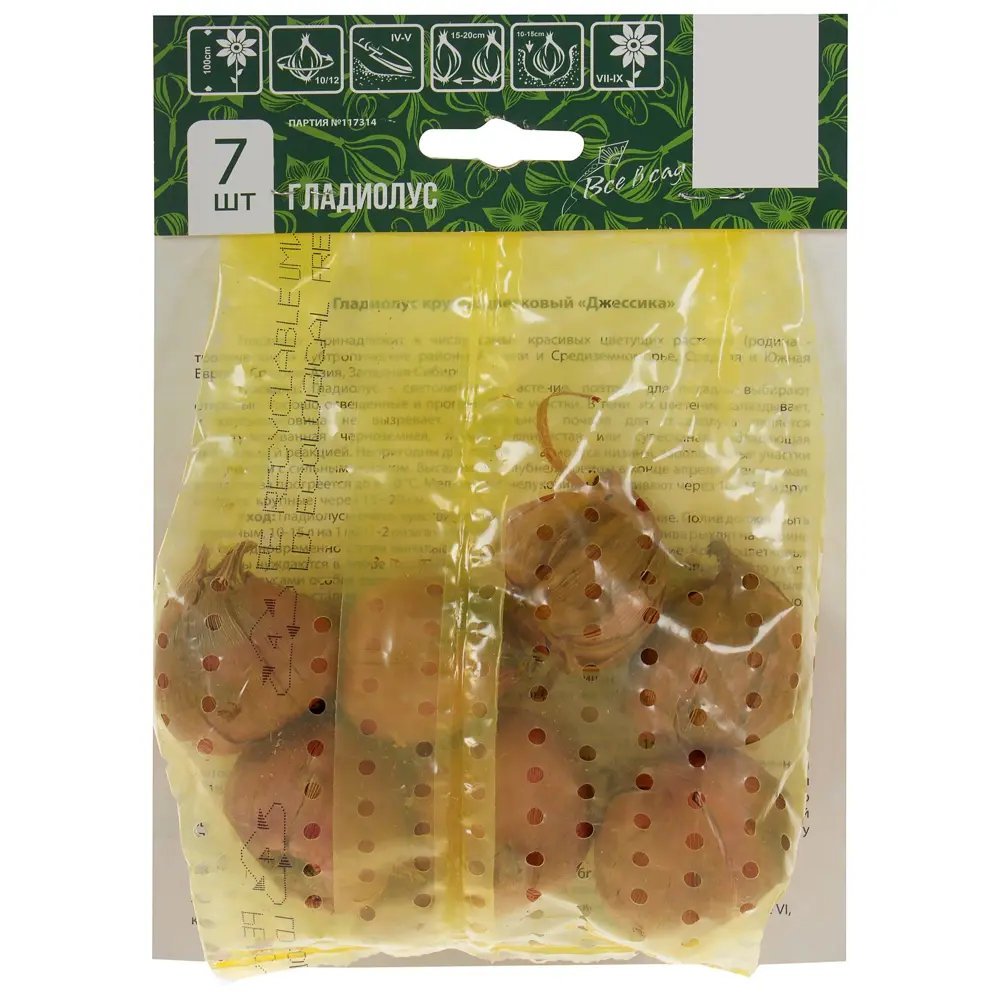 Гладиолус крупноцветковый Джессика 10/12, 7 шт Santreyd STLM-2123890 - Вид №1