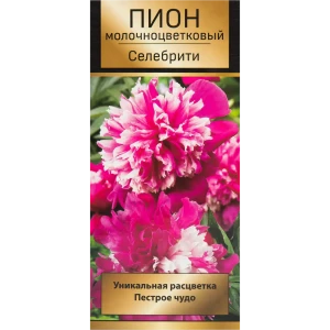 Пион травянистый Селебрити 10/12 ,1 шт 82530301 STLM-2013649