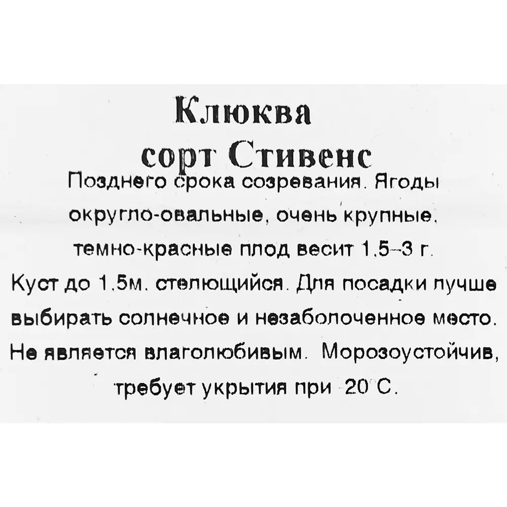 Клюква Стивенс в тубе Кутепово 17496920 STLM-2070966 Santreyd  - Вид №2