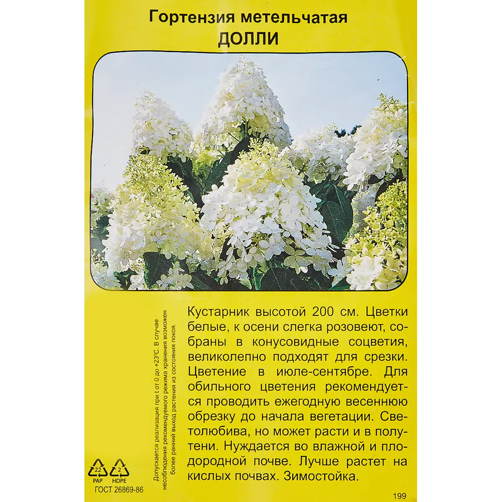 Гортензия метельчатая Долли h40 см 83786878 STLM-2203895 Santreyd  - Вид №2