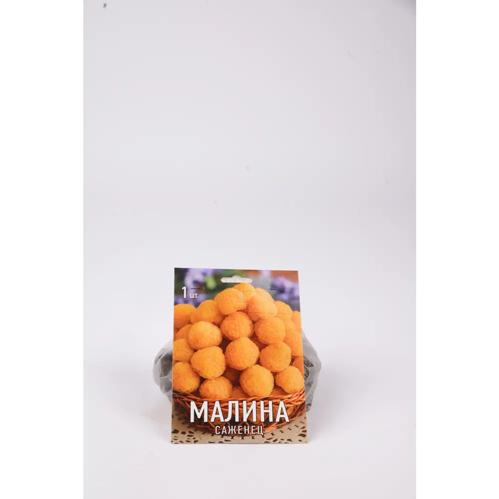 Малина Золотые купола h17 см 83791472 STLM-2193380 Santreyd 