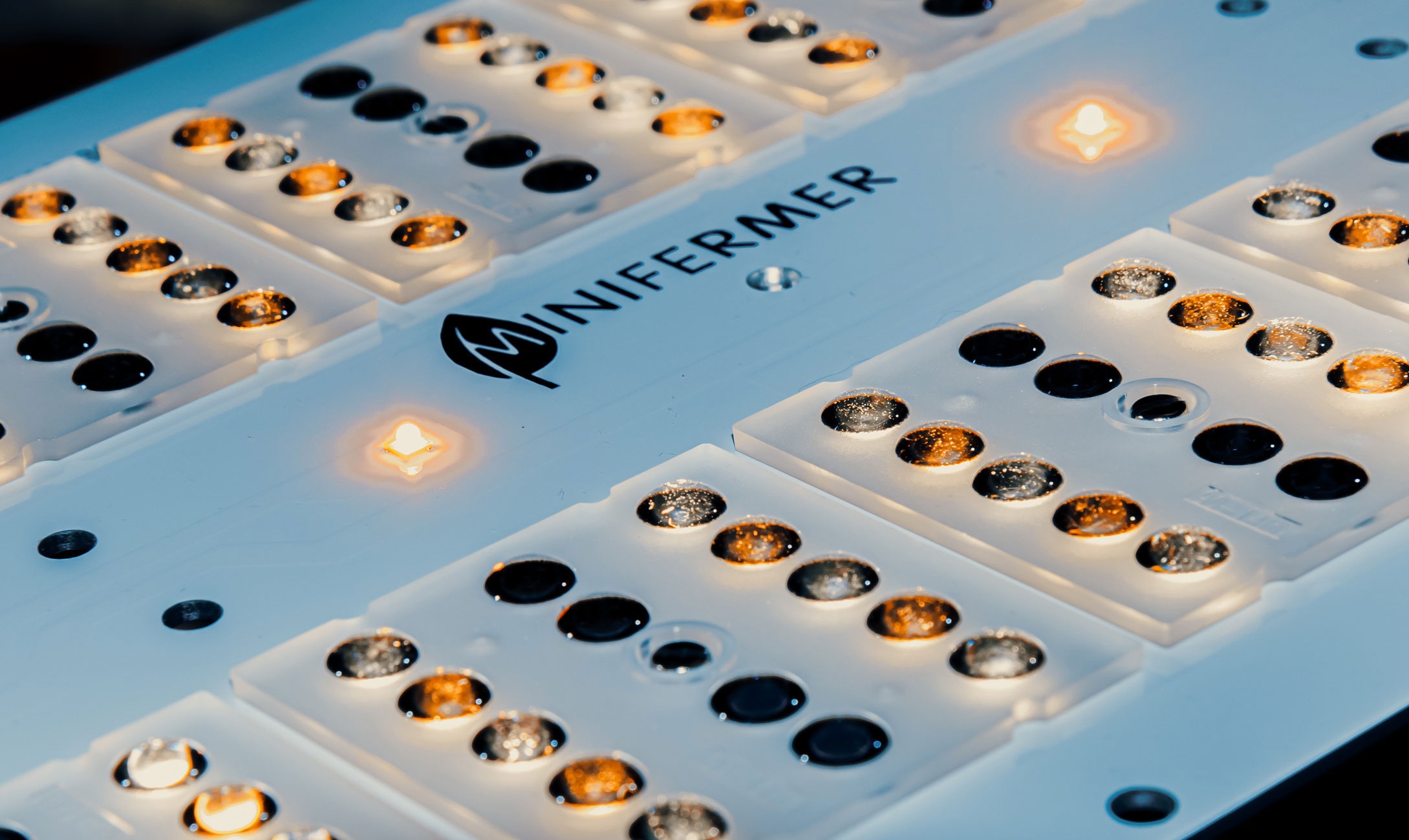 33190 Уценка 1.2 Quantum board 180 х 390 Samsung lm301b 5000K + Osram ssl 660nm LAB.Space  - Вид №19