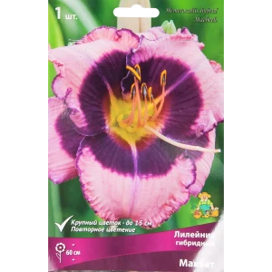 Лилейник гибридный Макбет 85205699 STLM-2054522