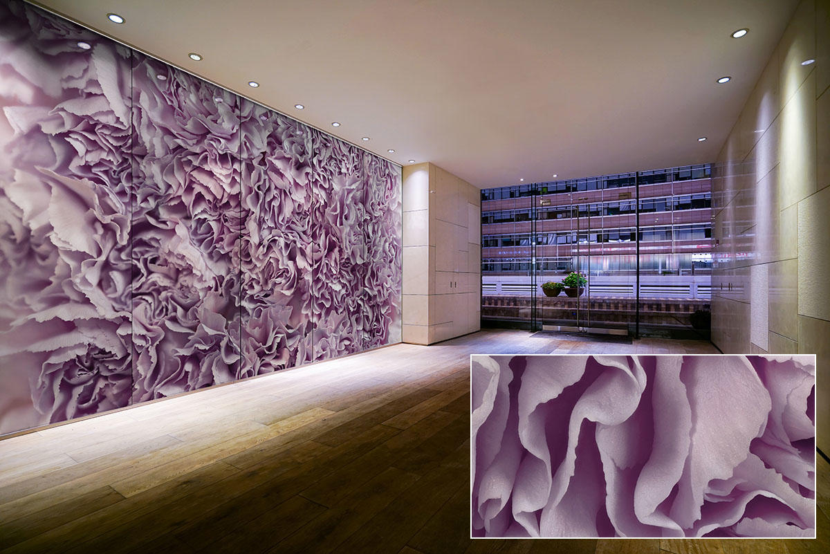 FSRT382 Зум-стекло Vivispectra с прослойкой dracanea fragans Forms-surfaces  - Вид №11