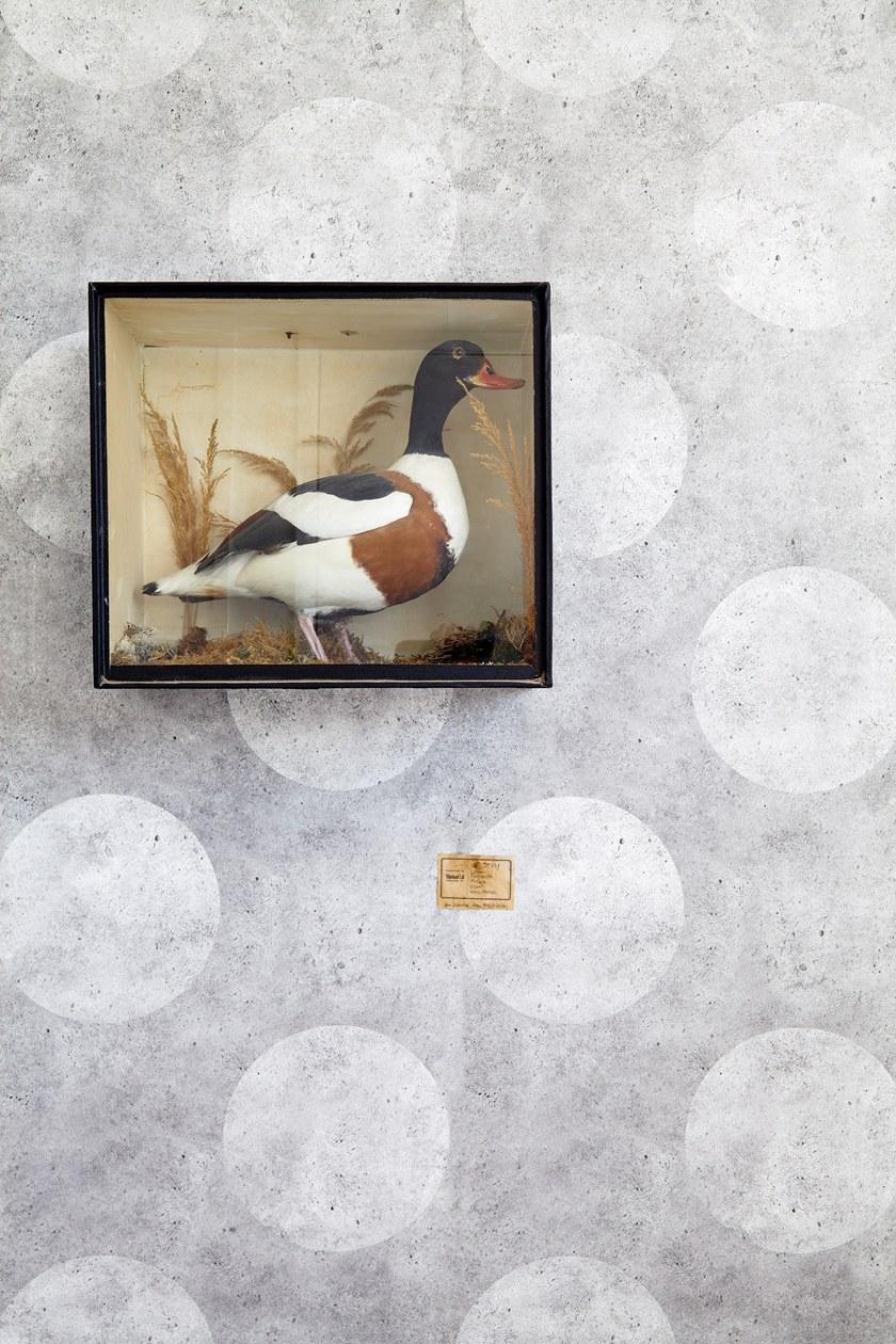 Mineheart Флизелиновые обои с эффектом бетона sun-id-1435303 - Вид №4