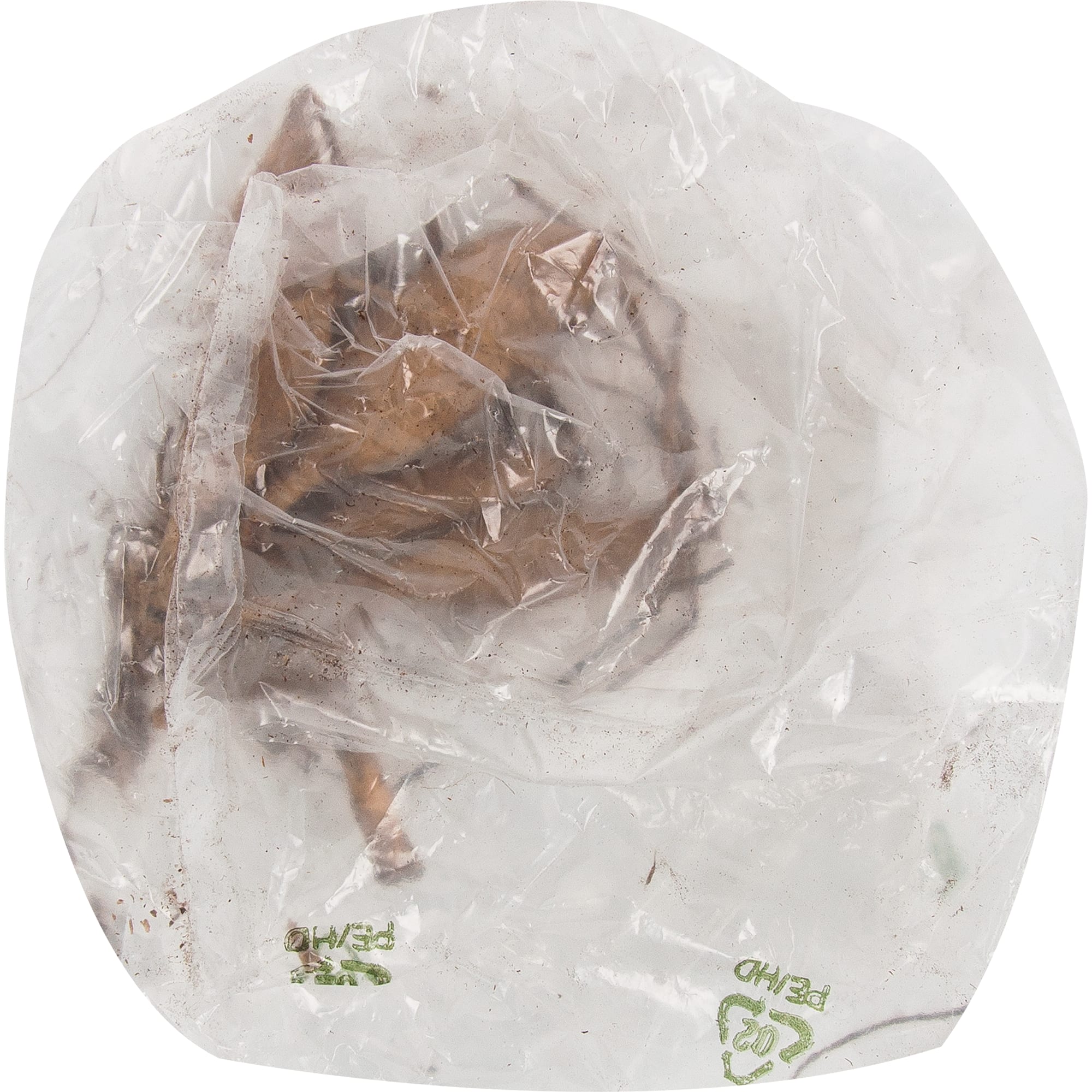 83760966 Георгина Веритабль луковица II Santreyd 