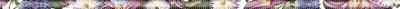 Mold Fantasy Бордюр 1,2x50 Ceradim sun-id-316461