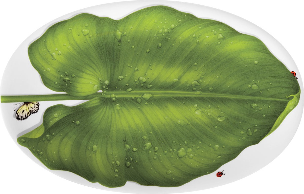 10640777 Taitu Блюдо овальное Taitu "Свобода" 40х26см Фарфор костяной 