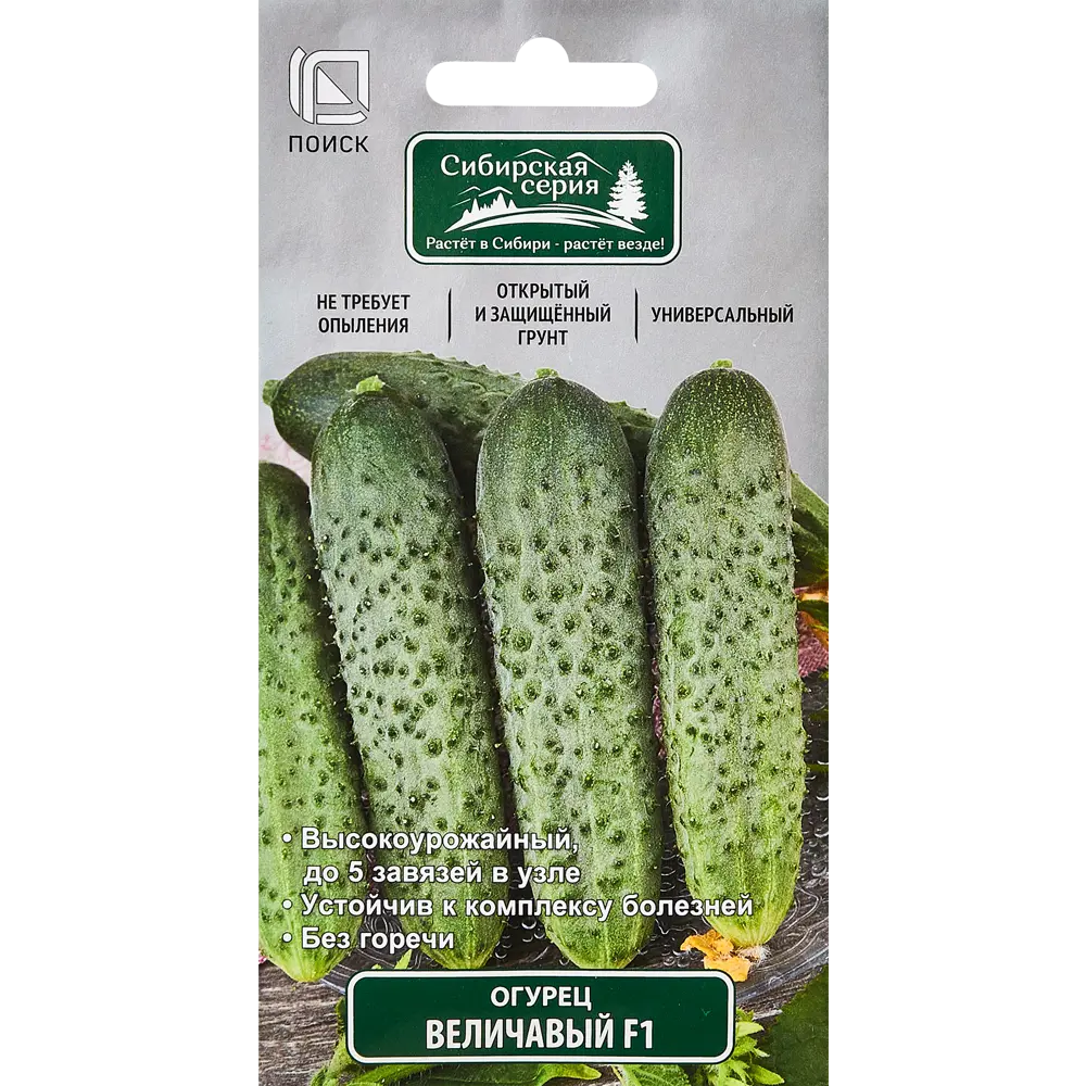 Семена огурцов ПОИСК Величавый F1 - раннеспелый гибрид для богатого урожая 89346724 STLM-1565991