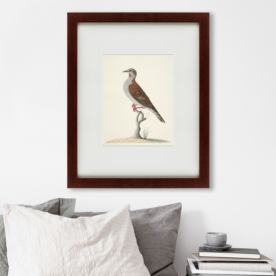 Литография на тонированной бумаге 42х52 см The brown bird КАРТИНЫ В КВАРТИРУ  135728 Белый;коричневый;разноцветный  - Вид №2
