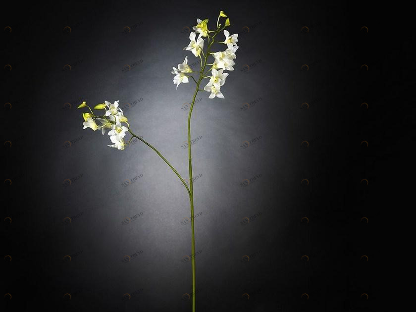 VGnewtrend Искусственное растение из полиэстера  1001663.95 