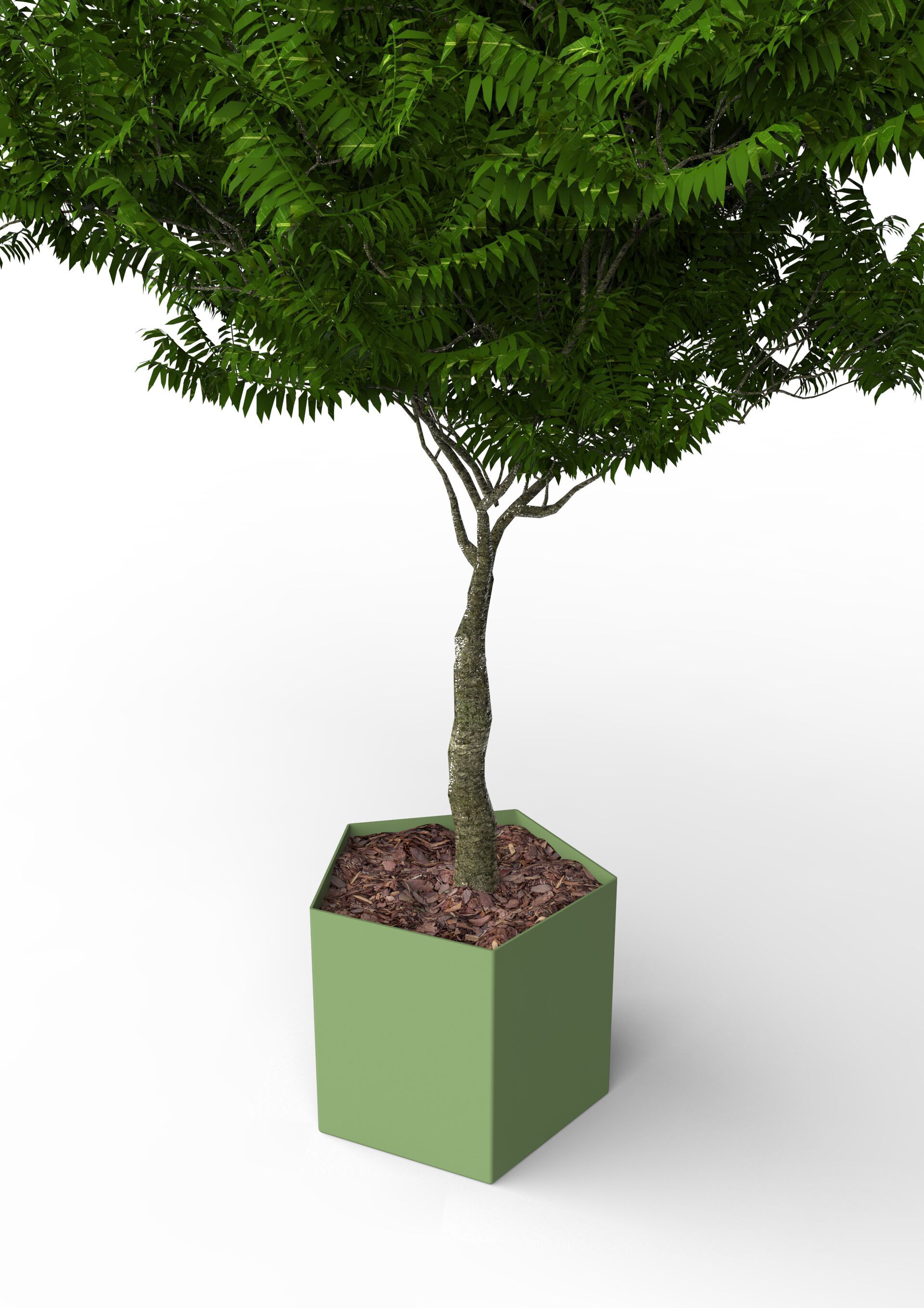 Низкая стальная плантатор CITYSì PETALO ARCH-00082828 - Вид №1