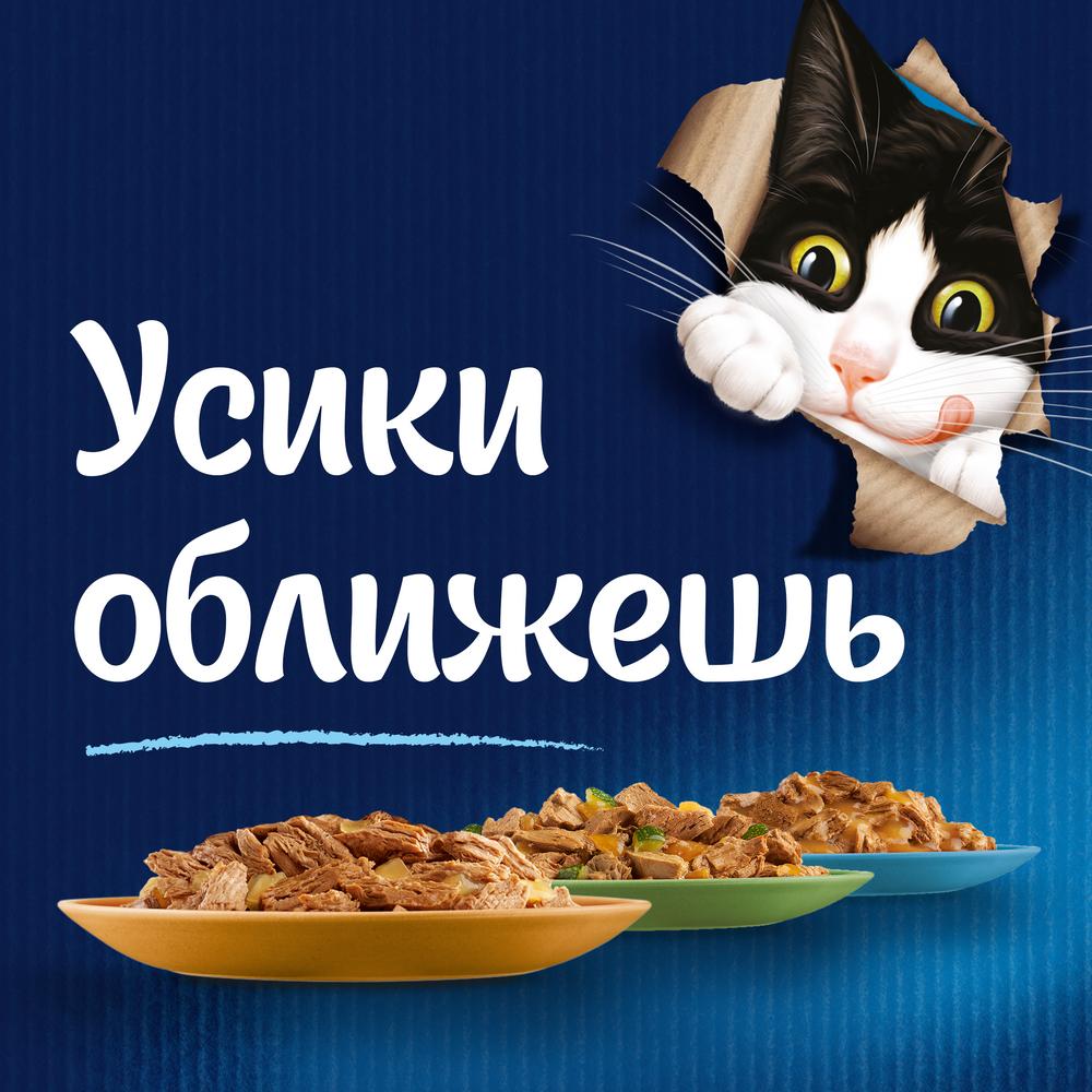 ПР0031785 Корм для кошек Sensations с индейкой в соусе со вкусом бекона, пауч 85 г FELIX  - Вид №2