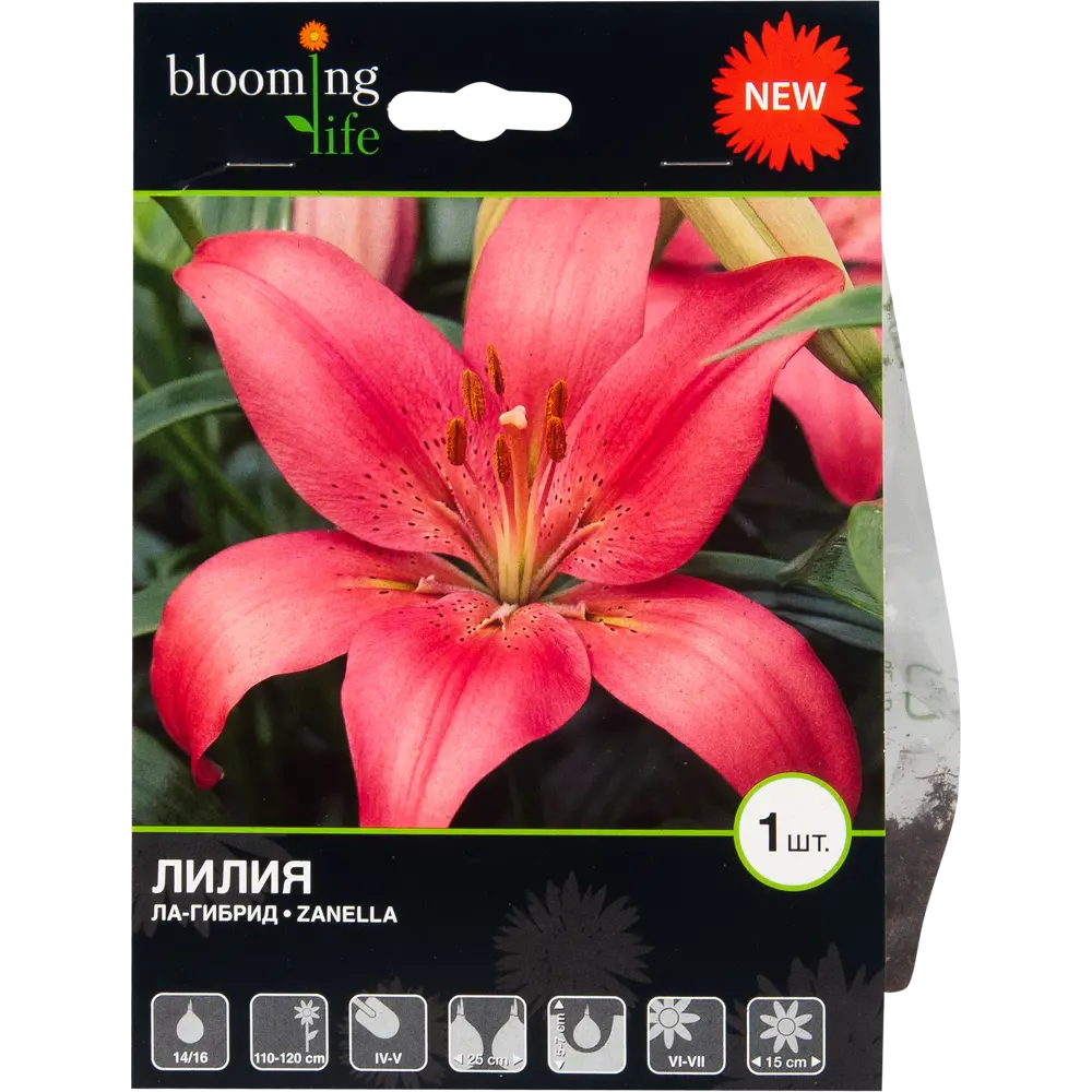 Лилия «Занелла» 82539362 STLM-2131451 BLOOMING LIFE 