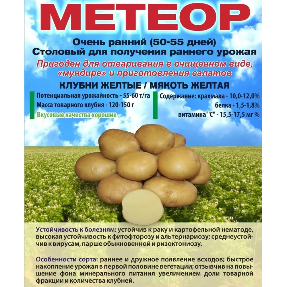 Картофель Метеор Суперэлита 0.25 кг Santreyd STLM-2114542
