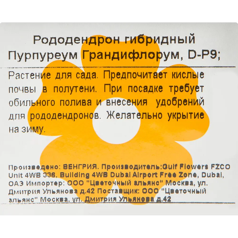 Рододендрон Пурпуреум «Грандифлорум» 9x20 см 82601863 STLM-2200739 Santreyd  - Вид №1