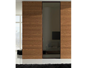 Алюминиевая и стеклянная дверь