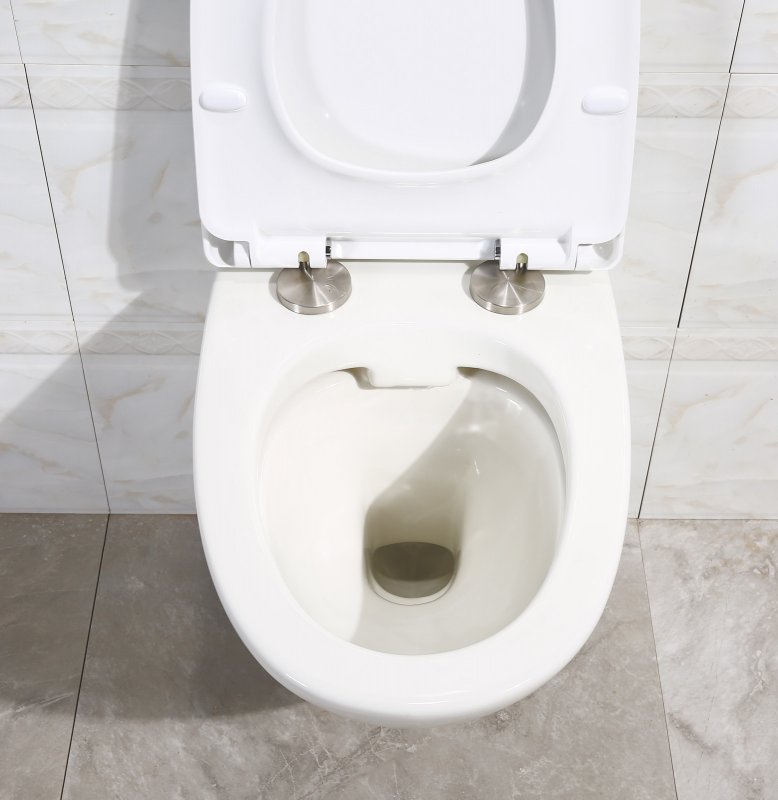 Унитаз подвесной BelBagno ALPHA безободковый Подвесной унитаз настенный Белый BELBAGNO Alpha Китай - Вид №7