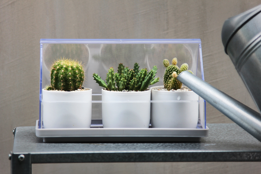 Лоток для выращивания растений Micro Green House прозрачный Qualy QL10310CLGN - Вид №2