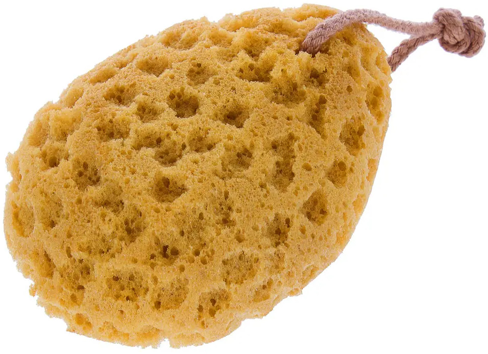 Мочалка банная «Коралл» от ДОКТОР БАНЯ для глубокого очищения кожи 18685087