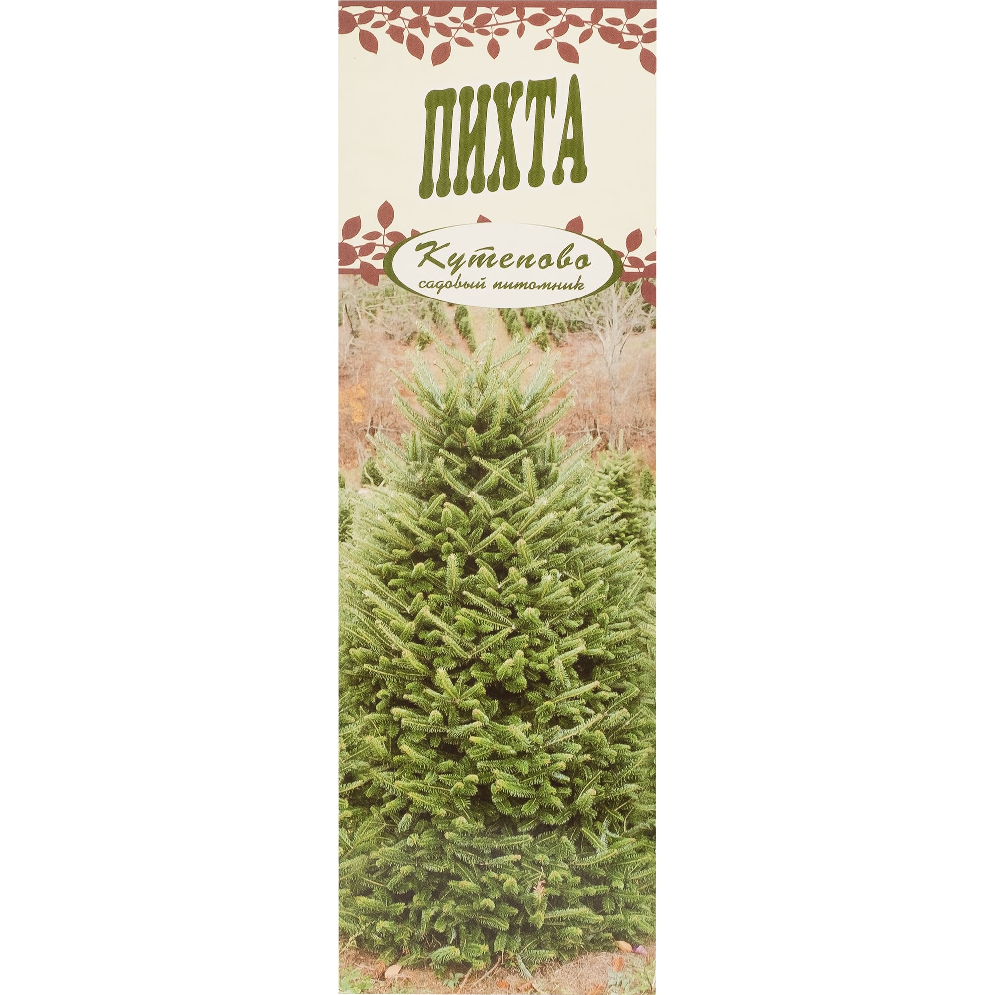 18321451 Пихта в коробке Santreyd  - Вид №2