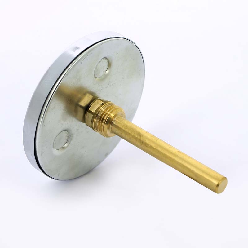 Термометр биметаллический F+R801 100мм с погружной гильзой WATTS Ind 160 град.C гильза 100мм 10006079 - Вид №2